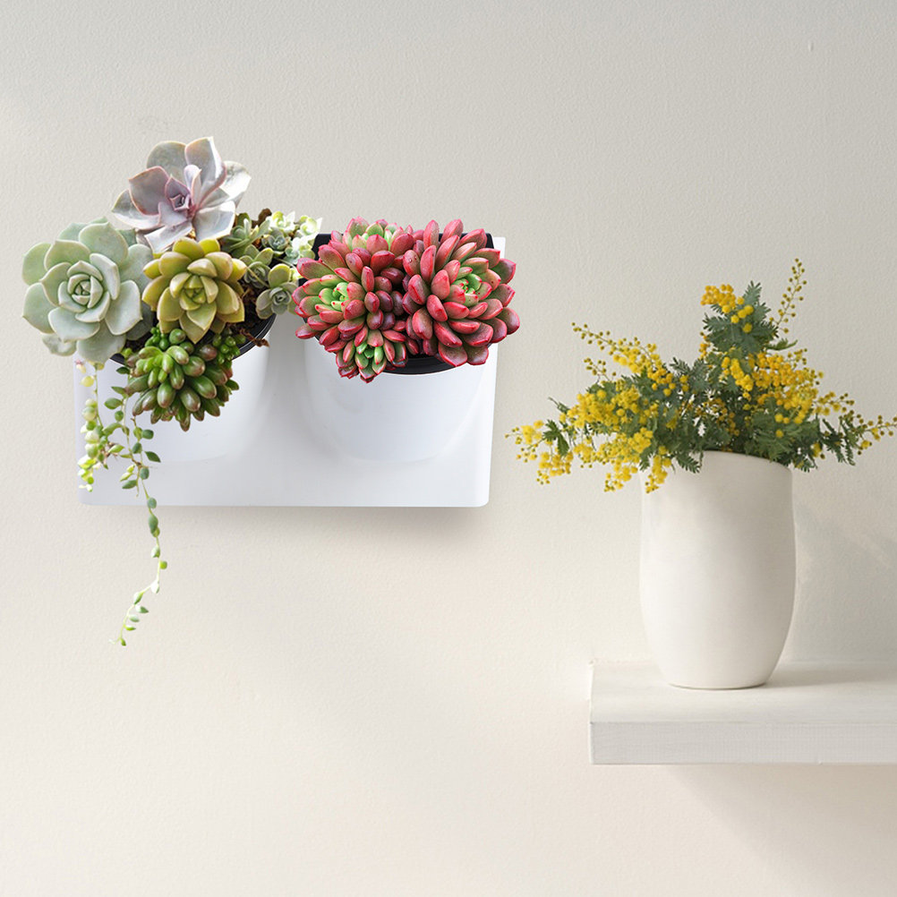 Succulent Planter Pot - 자가 급수 화분 플라스틱 바이올렛 화분