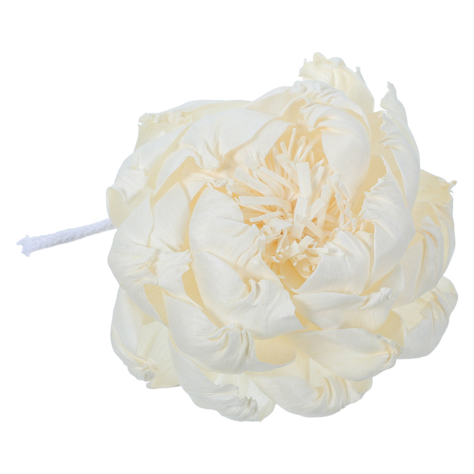 아로마 디퓨저 꽃, 홈 데코용 향수 디퓨저 꽃송이, 에 - Home Decor Flowers 리뷰 및 가격