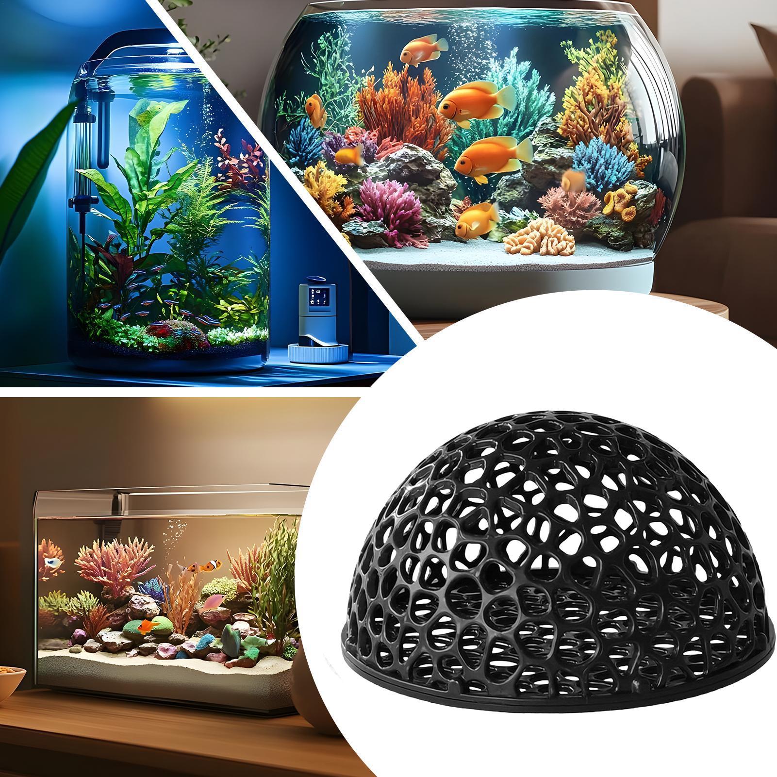 새우 번식 동굴 어항 새우 은신처 수족관 장식품 내구성 - Home Decor Habitat 리뷰 및 가격