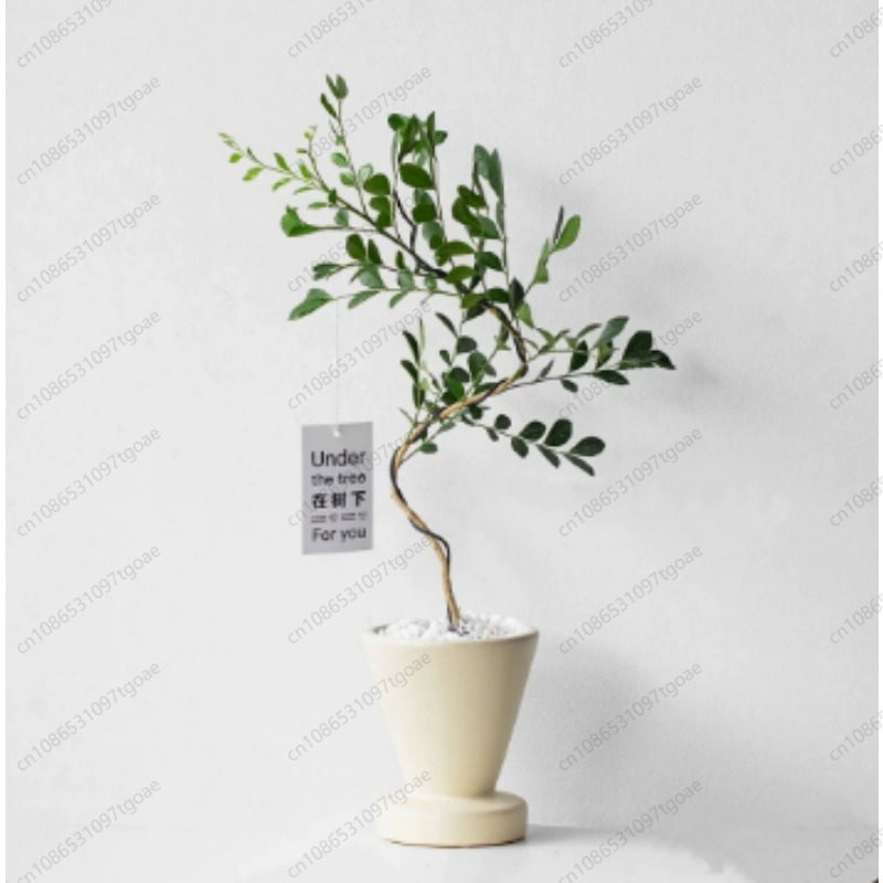 미니멀리스트 원뿔형 세라믹 화분, 베이스가 있는 무광  - Succulent Planter Pot 리뷰 및 가격