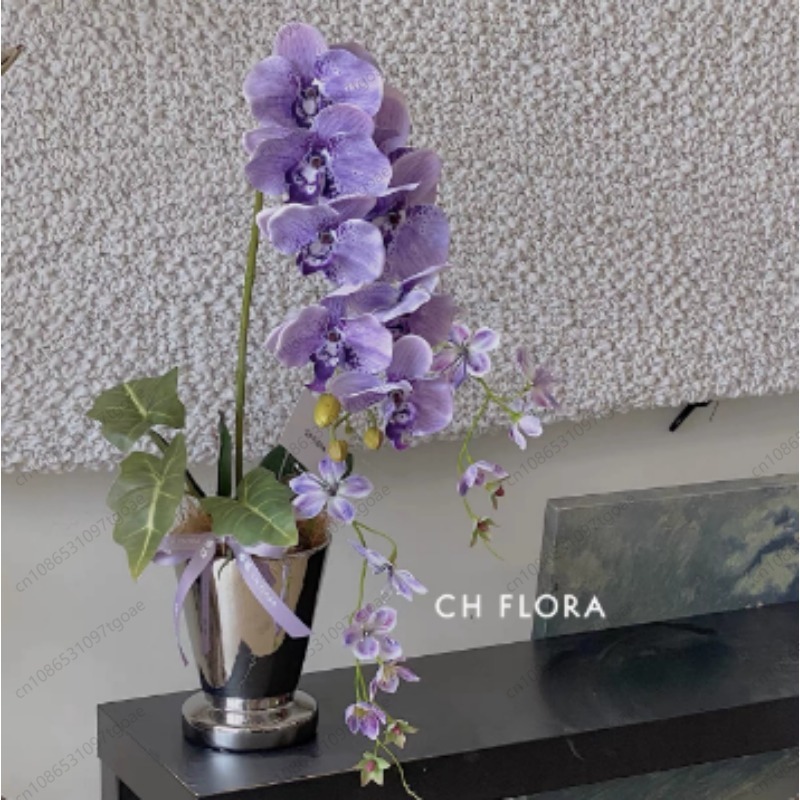 미니멀리스트 원뿔형 세라믹 화분, 베이스가 있는 무광  - Succulent Planter Pot 리뷰 및 가격