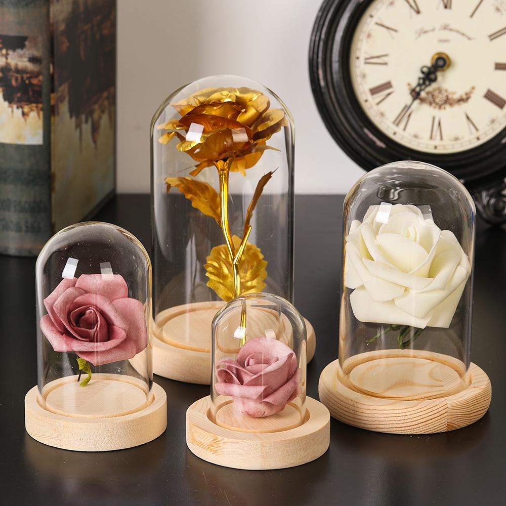 홈데코 식물 항아리 테라리움 유리 화병 먼지 덮개 나무 - Home Decor Flowers 리뷰 및 가격