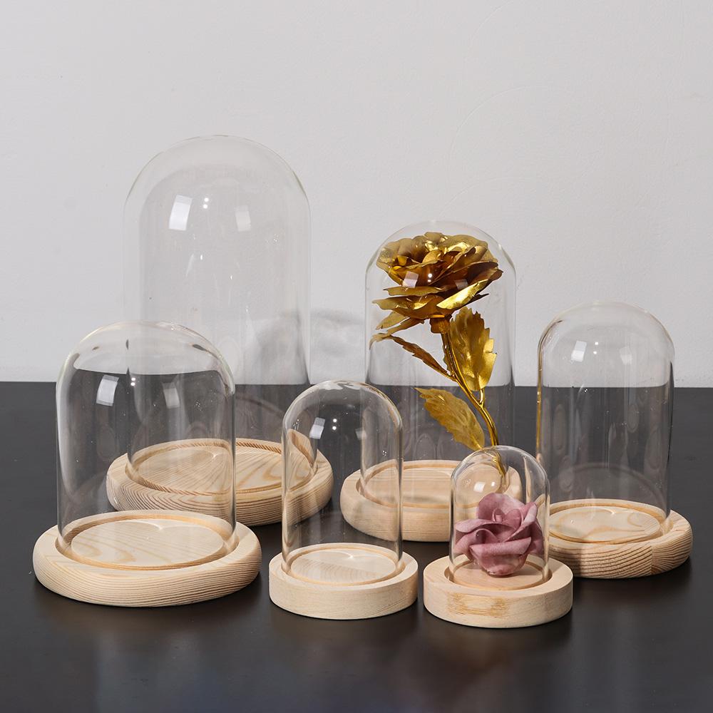 홈데코 식물 항아리 테라리움 유리 화병 먼지 덮개 나무 - Home Decor Flowers 리뷰 및 가격