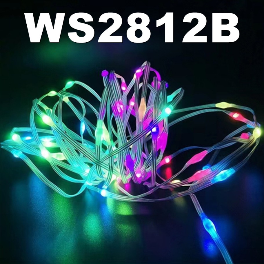 WS2812B LED 빛 문자열 스마트 블루투스 원격  - Home Decor Garland 리뷰 및 가격