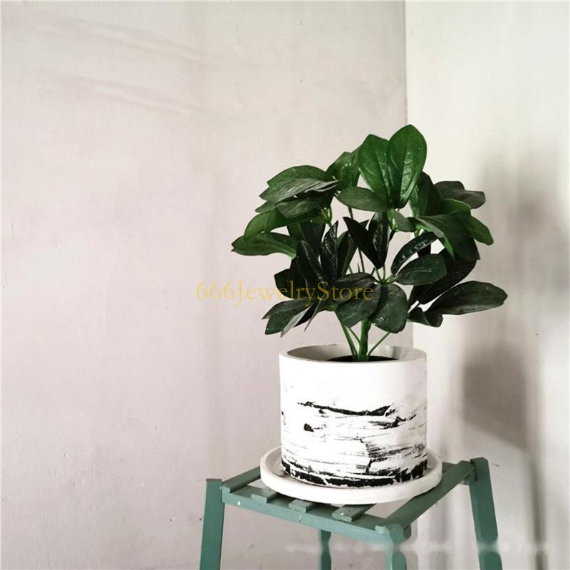 F2TD 대형 원형 즙이 많은 식물 재배자 냄비 실리콘 - Succulent Planter Pot 리뷰 및 가격